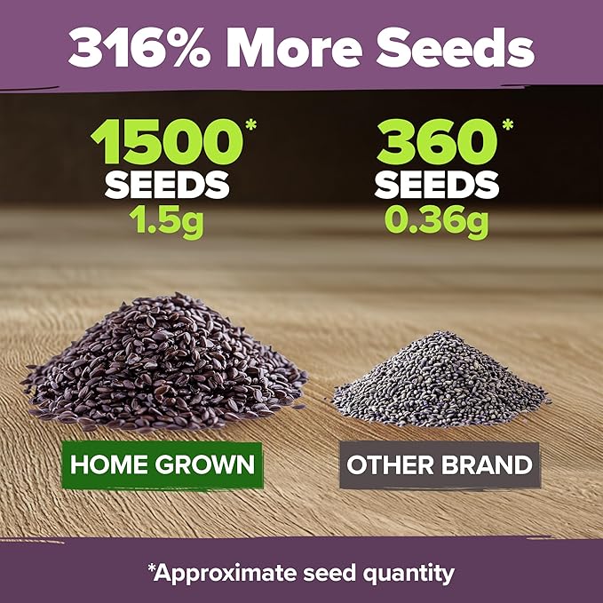 HOME GROWN Non GMO English Lavender Seeds 1,500+ Wildflower Seed for Planting Indoor/Outdoor, High Germination, Plant Flower Seeds (Lavandula antustifolia)