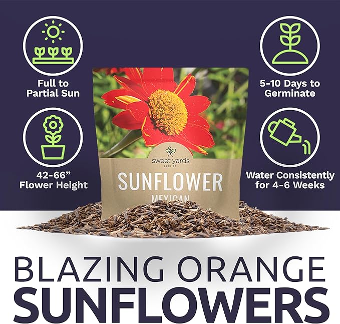 Mexican Sunflower Seeds – Extra Large Packet – Over 2,500 Open Pollinated Non-GMO Wildflower Seeds – Tithonia rotundifolia