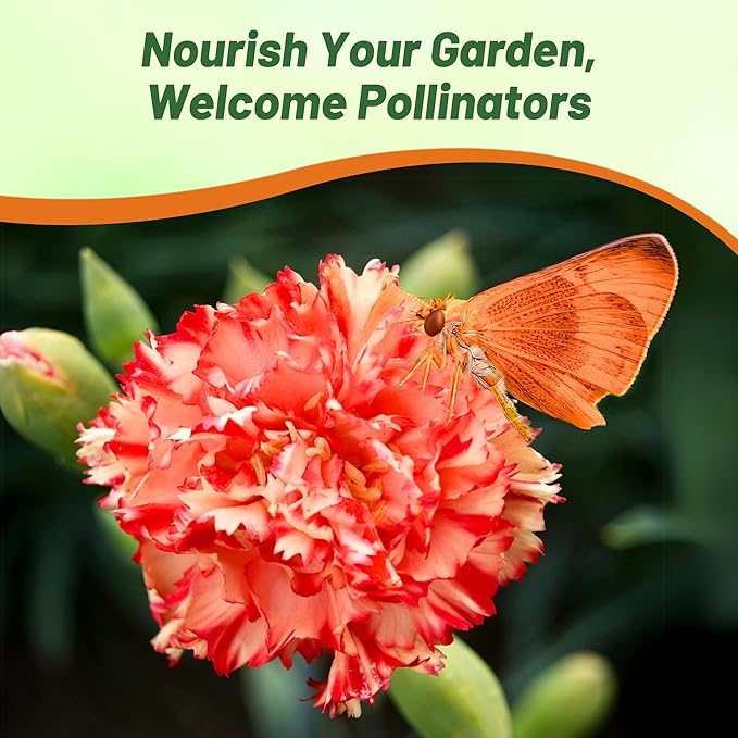 Outsidepride Avranchin Red Carnation Seeds - 1000 Pcs Perennial, Easy to Grow Flower Seeds for Planting with Fragrant Blooms, Ideal for Pollinators, Cutting Gardens, Bouquets, & Floral Arrangements