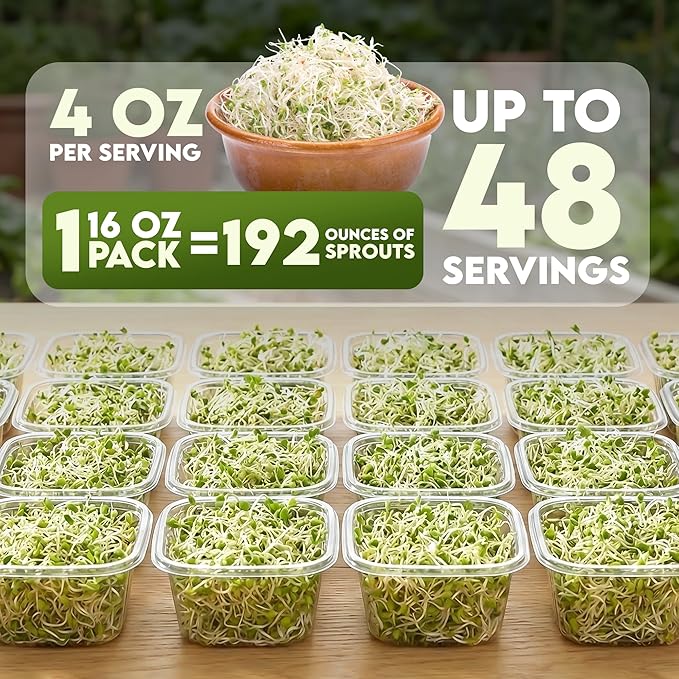 Nature Jims Sprouts Alfalfa Seeds – Non-GMO Organic Sprout Growing Kit for Planting – Premium Resealable Bag for Fresh Homegrown Sprouting Seeds – Rich in Nutrients, Vitamins, Fiber & Minerals – 16oz