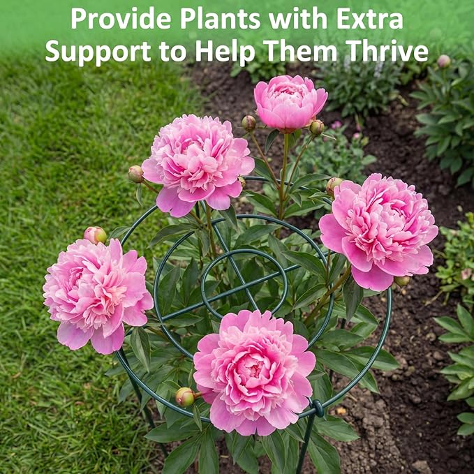 Pelopy 4 Pack 15.7" D x 23.6" H Heavy Duty Peony Cages and Supports, Metal Plant Support Stakes, Flower Support Hoops for Outdoor Garden Roses, Tomatoes, Hydrangeas, Peonies, Sage, Cucumbers