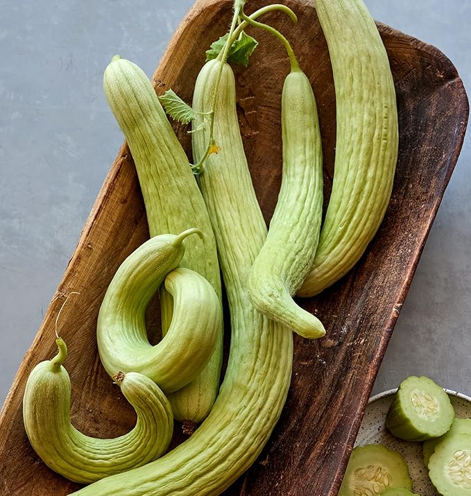 Burpee 'Armenian' Cucumber Seeds, 100 Non-GMO seeds, Heirloom