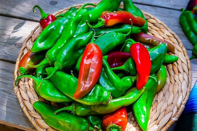 Seeds Jalapeno Chili Pepper - Hot - Heirloom Vegetable - GMO Free