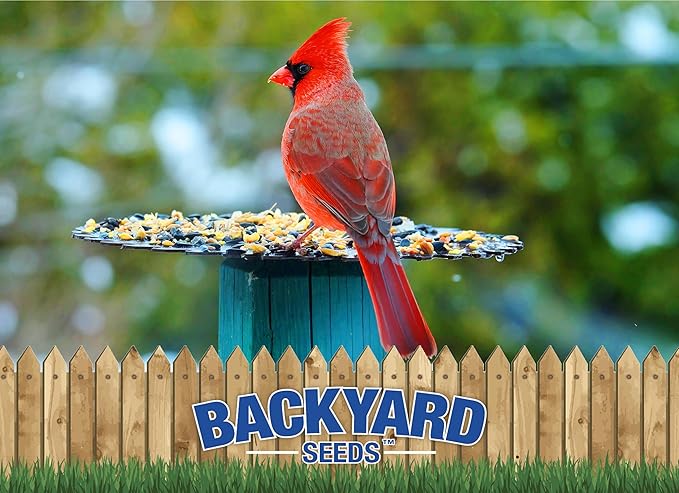 CountryMax Backyard Seeds Premium Blend Bird Seed 20 lb - to Attract Songbirds - Wild Bird Food Mix with Black Oil Sunflower (20 Pounds)