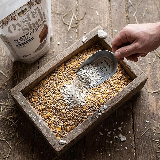 Organic Oyster Shell Calcium Supplement - Crushed Shells for Plants, Chickens, and Compost - Natural Fertilizer Boost for Healthy Gardens 20lbs. by Old Cobblers Farm (10 lbs)