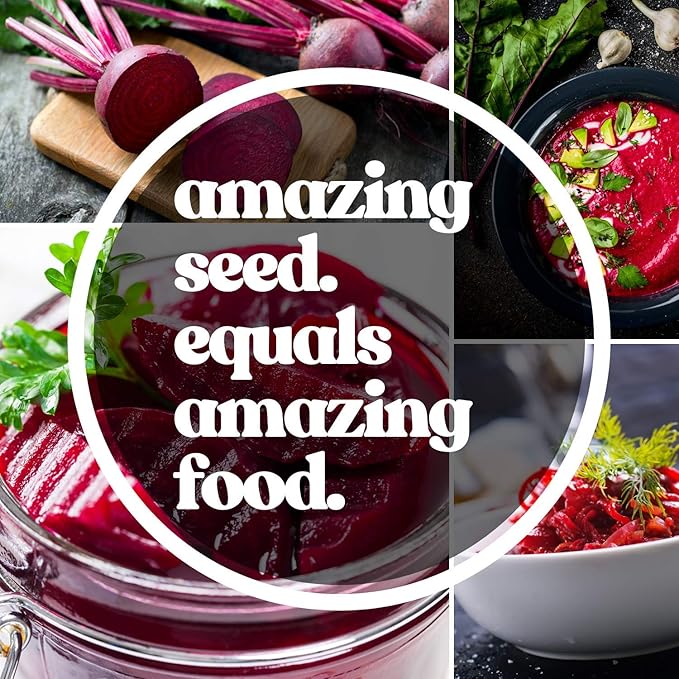 Beet Seeds - Rainbow Blend - 1 Oz ~1,500 Seeds - Beta vulgaris - Farm & Garden Vegetable Gardening & Microgreens Seed - Non-GMO, Heirloom, Open Pollinated, Annual