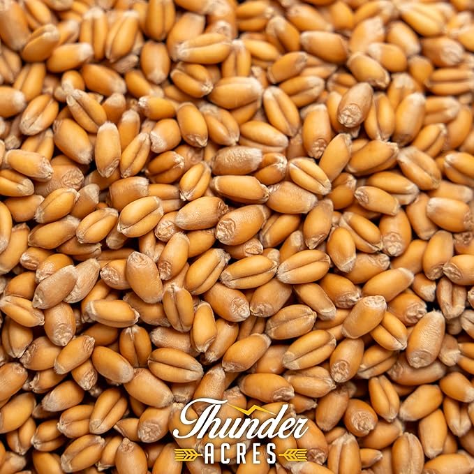Thunder Acres Premium Soft Red Winter Wheat Seed (1, Pounds)