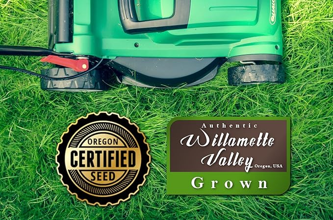 Kentucky 31 K31 Tall Fescue Grass Seed by Eretz - Choose Size! State Certified, No fillers, No Weed or Other Crop Seeds (25lbs)