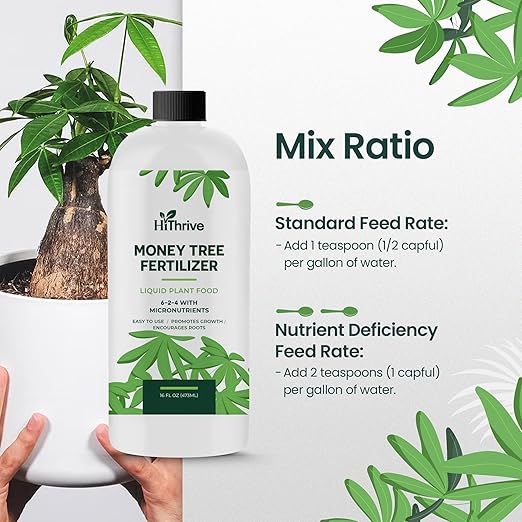 16oz Money Tree Plant Indoor Fertilizer - Makes 96 Gallons of Money Tree Fertilizer - Nutrient-Rich Plant Food with Macro & Micronutrients for Glossy Leaves, Strong Roots, and Lush, Tropical Growth