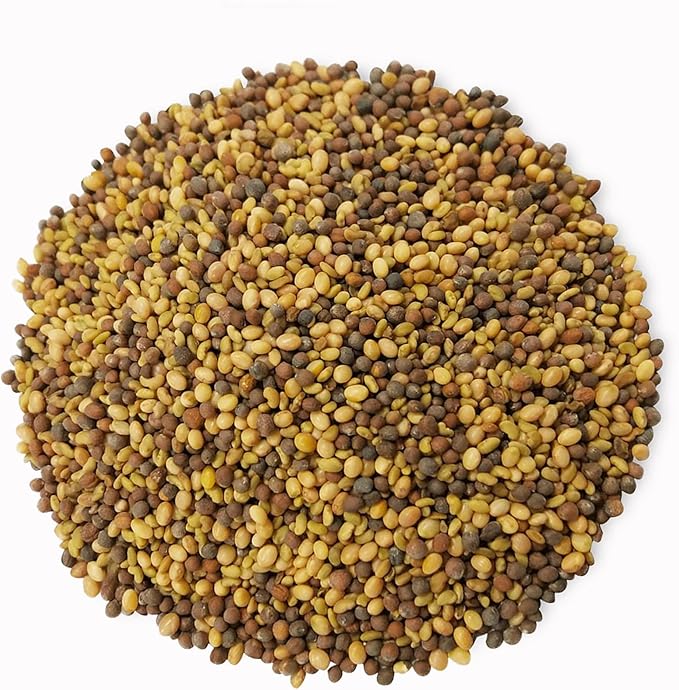 Food to Live Organic Antioxidant Mix of Sprouting Seeds, 1 Pound – Non-GMO Broccoli, Alfalfa, Clover, Rich Germination Rate, Non-Irradiated, Kosher, Vegan Superfood, Bulk, Rich in Sulforaphane