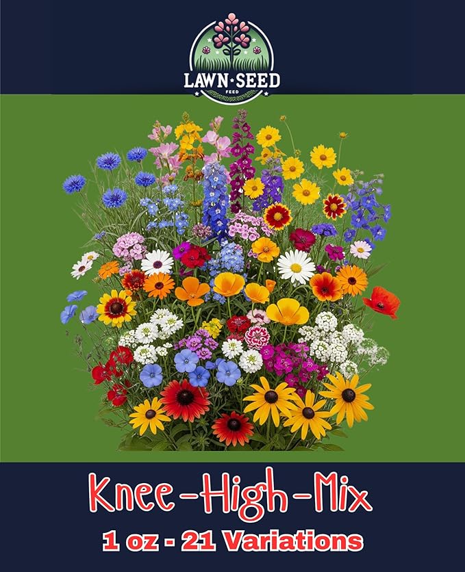 Knee-High Wildflower Mix (1oz) Sprinkle a Little Magic—Our Shade, Perennial, Hummingbird, Deer-Resistant, and Other mixes Bring Vibrant Color and pollinator Joy to Any Space.