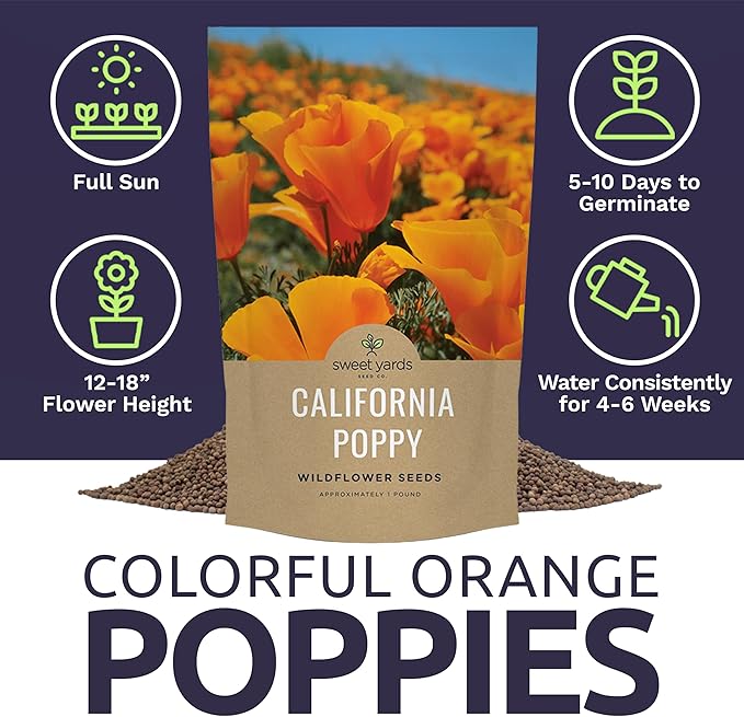 Bulk California Orange Poppy Wildflower Seeds - 5 Pounds - Over 1,600,000 Native Seeds - California State Flower!