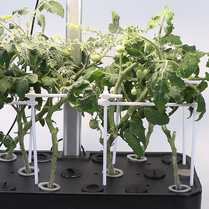 101 Pcs Hydroponic Growing kit for Indoor Garden,80 Grow Sponges, 20 Grow Baskets & 1 Tweezer, Replacement Growth Sponges Seed Pods of All hydroponic Brands Also Suitable for Soil Culture