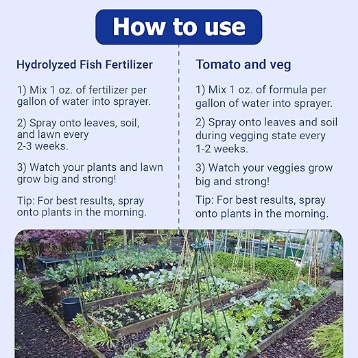 Neptune's Harvest Organic Plant Fertilizer | Liquid Fertilizer for Lawn, Garden & Houseplant | Rich in Essential Nutrients | Hydrolyzed Fish 2-4-1 (Quart) + Tomato & Veg Plant Food 2-4-2 (Quart)