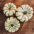 Sweet Dumpling Acorn Squash - 25 Seeds - Heirloom & Open-Pollinated Variety, Easy-to-Grow, Non-GMO Vegetable Seeds for Planting Outdoors in The Home Garden, Thresh Seed Company