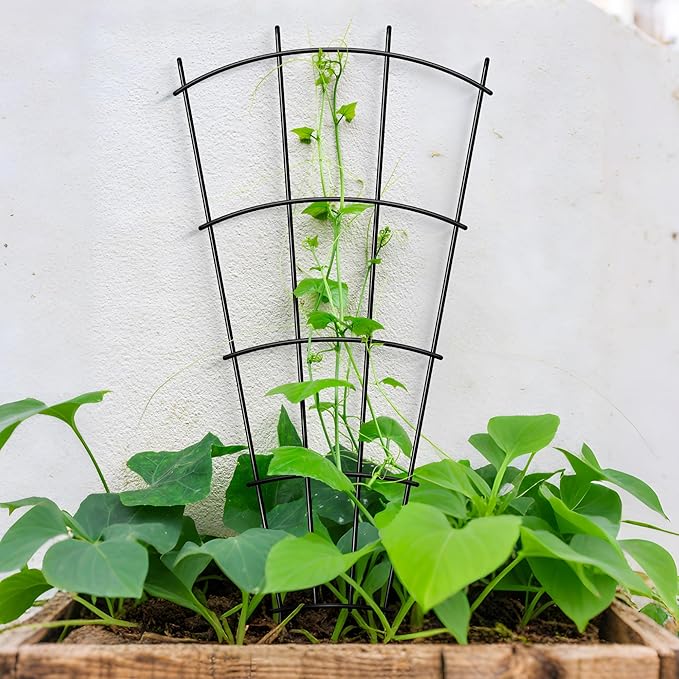 4 Pack 32" Metal Plant Trellis for Pots & Garden Beds, Rustproof Support for Indoor Outdoor Climbing Plants, Vines, Flowers, Fan Shaped, Black