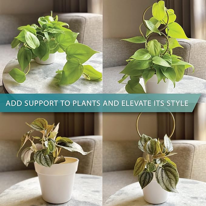 Small Metal Trellis for Indoor Plants Metal Plant Stake for Climbing House Plants Plant Support for Potted Plants Orchids, Monstera, Pothos, Ivy, Hoya, Philodendron Set of 4 (Simply Silver)