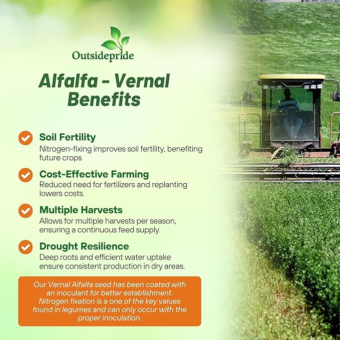 Outsidepride Perennial Alfalfa Seeds for Planting - 10 lbs High Yield, Nitrocoated, Inoculated Winter Hardy Forage Legume Seeds for Growing Lush Green Grass Lawns, Pastures, & Hay for Livestock