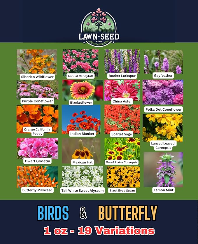 Birds & Butterfly Wildflower Mix (1oz) Sprinkle a Little Magic—Our Shade, Perennial, Hummingbird, Deer-Resistant, and Other mixes Bring Vibrant Color and pollinator Joy to Any Space.