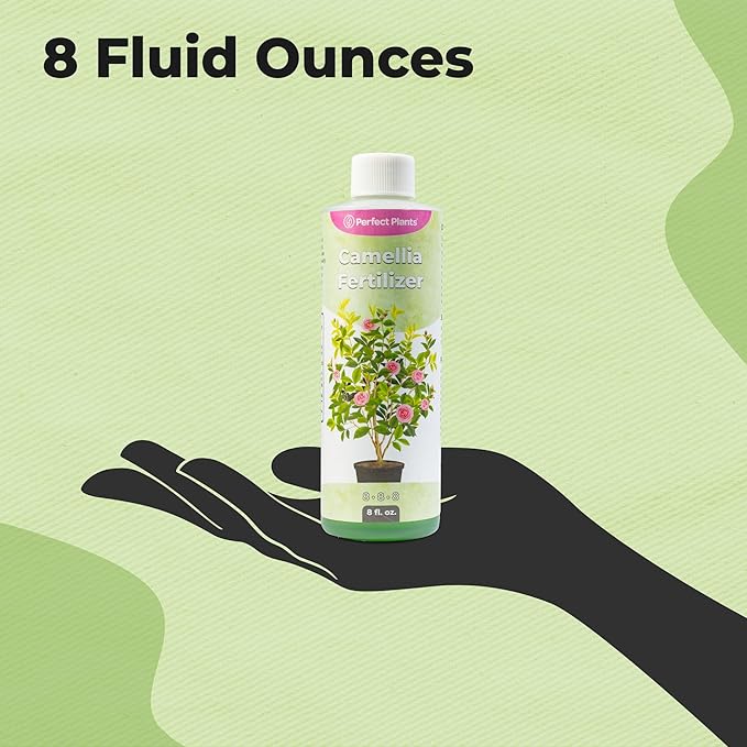 Liquid Camellia Fertilizer by Perfect Plants | The Best Fertilizer for All Outdoor Camellia Shrub Plant to Enhance Blooms & Boost Colors | Improves Missing Flower Nutrient Levels