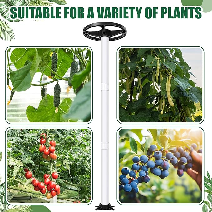 BreezeHug 2 Pcs Dragon Fruit Trellis 12 x 50 Inch PVC Vertical Garden Support for Climbing Vines, Tomatoes, Cucumbers, Beans, Vertical Garden Trellis, Requires Assembly