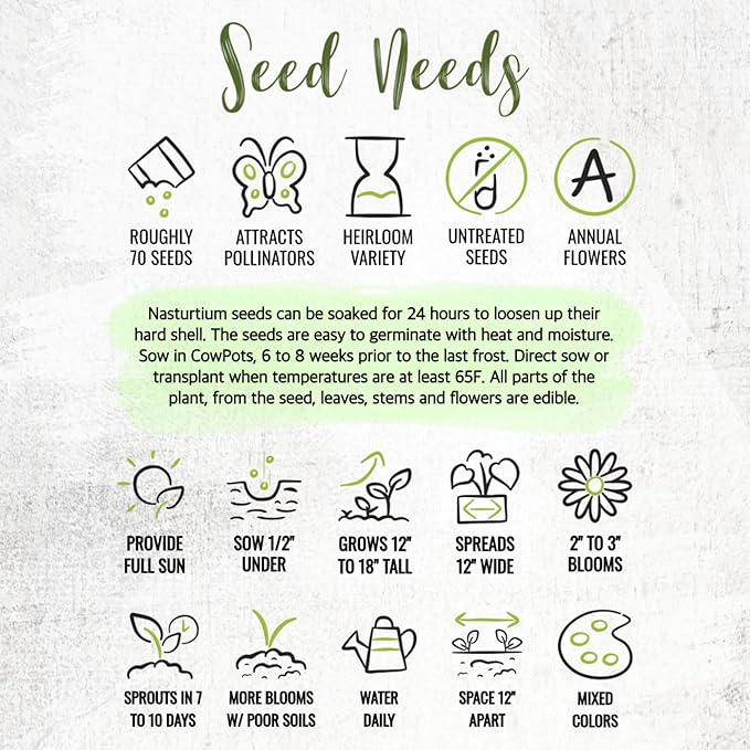 Seed Needs Nasturtium Seeds for Planting Jewel Blend - Heirloom Untreated & Open Pollinated Annual Wildflowers - Edible Mixed Flowers to Plant a Butterfly Garden (1 Pack)