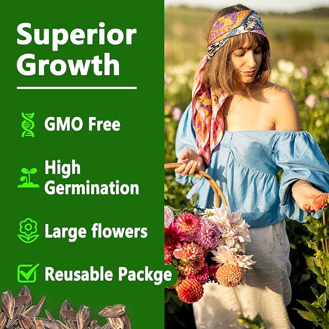 LUOJIBIE Zinnia Seeds, California Giants Mix, 1,5000+ Bulk Garden Flower Seeds for Planting Outdoors, Mixed Colors and Large Blooms, Attracts Pollinators, Easy to Grow