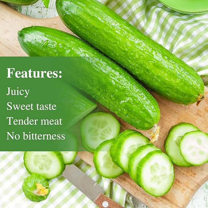 50 Straight Eight Cucumber Seeds - Heirloom Non-GMO USA Grown Vegetable Seeds for Planting in Trellises, Raised Beds, Space Gardens- Pickling and Slicing Cucumber