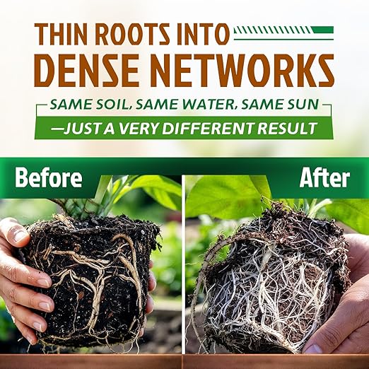 Dr. Raifya's Mycorrhizal Fungi Inoculant, 10X Concentrated, Up to 700 Plants–Organic Root Stimulator to Strengthen Roots, Enhance Growth & Increase Yield, Safe for Vegetables, Flowers & Fruits, 2.2lb