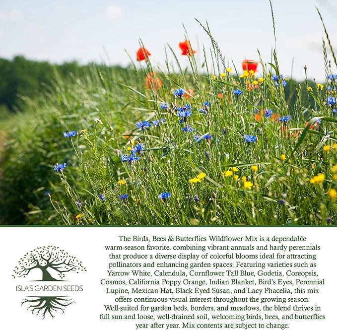 Birds, Bees & Butterflies Wildflower Mix – 500+ Seeds/PK by Isla’s Garden Seeds, Colorful Variety of Pollinator-Friendly Blooms, Supports Local Wildlife, Perfect for Garden Beds, Borders & Meadows