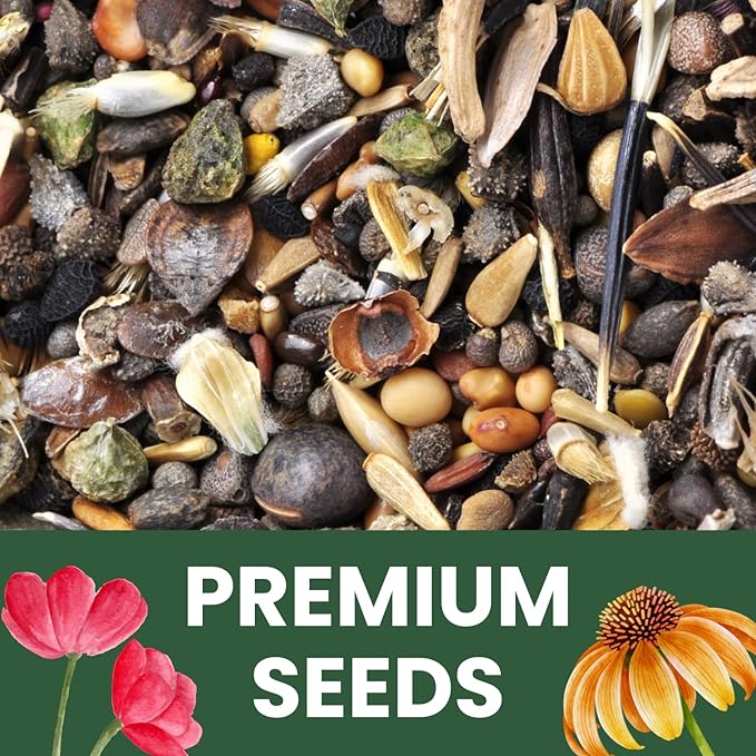 Black Mammoth Sunflower - Bulk 1/4 Pound Pouch - 1,000 Flower Seeds for Planting - Helianthus annuus