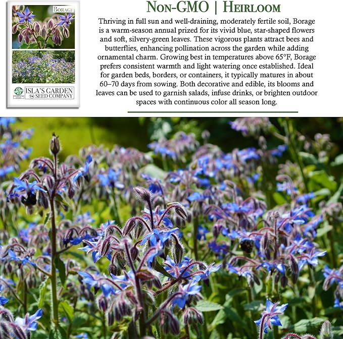 Borage Flower & Herb Seeds (Borago officinalis) – 125+ Non-GMO Heirloom Seeds by Isla’s Garden Seeds, Edible Blue Blossoms for Garnish & Herbal Tea, Pollinator-Friendly Annual, Easy to Grow, Gift Idea