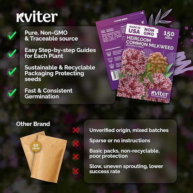KVITER 150 Common Milkweed Seeds (Asclepias Syriaca)- Pink, Perennial Native Wildflower for Butterflies, Non GMO Seed - Heirloom Flower Seeds in Seed Packets for Outdoor Garden, Borders, Wild Areas