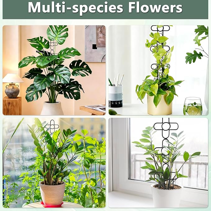 24Inch Trellis for Climbing Plants Indoor, Small Garden Metal Trellis for Potted Plants, Plant Stakes for Vine Ivy Flower Plant Support Indoor Plants Accessories Hoya, Flower Shape