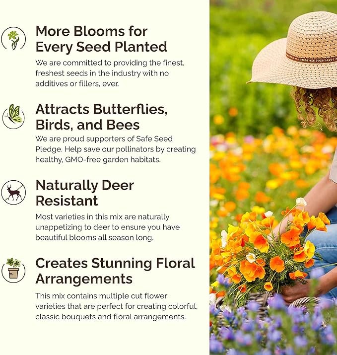 Eden Brothers New Mexico Wildflower Mixed Seeds for Planting, 1 lb, 480,000+ Seeds with Yarrow, Coreopsis | Attracts Pollinators, Plant in Spring or Fall, Zones