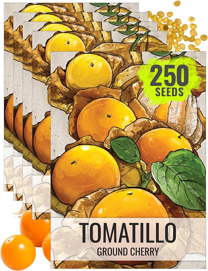 Seed Needs Ground Cherry Tomatillo Seeds for Planting - Non-GMO, Heirloom & Untreated Physalis pruinosa - Edible Cape Gooseberry/Golden Berries to Grow an Outdoor Vegetable Garden (5 Packs)