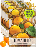Seed Needs Ground Cherry Tomatillo Seeds for Planting - Non-GMO, Heirloom & Untreated Physalis pruinosa - Edible Cape Gooseberry/Golden Berries to Grow an Outdoor Vegetable Garden (5 Packs)