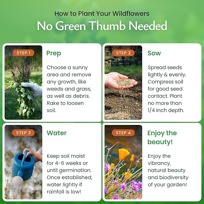 Created By Nature Arizona Wildflower Seed Mix with Poppy and Lupine Seedds, 14 Flower Varieties, 30,000+ Seeds