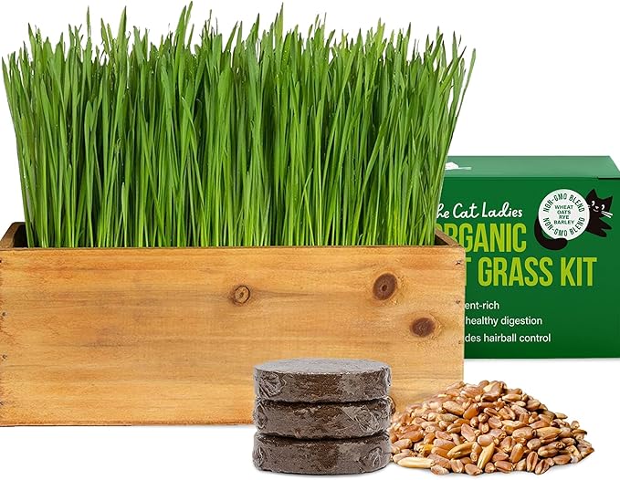 The Cat Ladies Cat Grass Kit with Rustic Wood Planter, Seed and Soil. Easy to Grow for Indoor or Outdoor Cats, Dogs and Other Pets. Prevent Hairballs and Aid Digestion