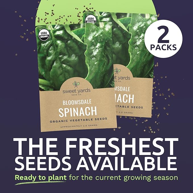 Organic Spinach Bloomsdale Heirloom Seeds - 2 Seed Packets! - Over 300 Open Pollinated Non-GMO USDA Organic Seeds