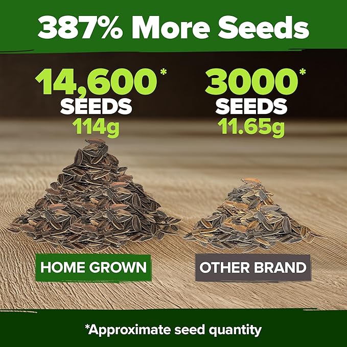 HOME GROWN Zinnia Seeds for 2026 - California Giant Mix - 14,600+ (4 oz) Plant Wildflower Blooms Bulk Seeds for Planting Flowers Outside - Pollinator Gardens (Zinnia elegans)