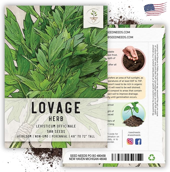 Seed Needs Lovage Seeds for Planting - Non-GMO Heirloom & Untreated Herbs to Plant a Medicinal/Culinary Home Grown Herb Garden Indoors or Outdoors (2 Packs)
