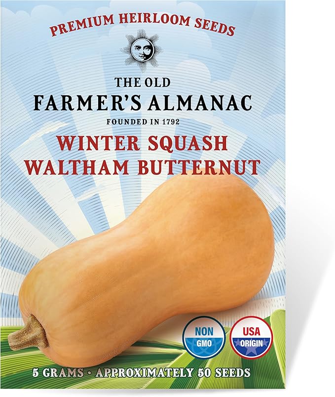 The Old Farmer's Almanac Heirloom Winter Squash Seeds (Waltham Butternut) - Approx 40 Seeds - Non-GMO, Open Pollinated, USA Origin