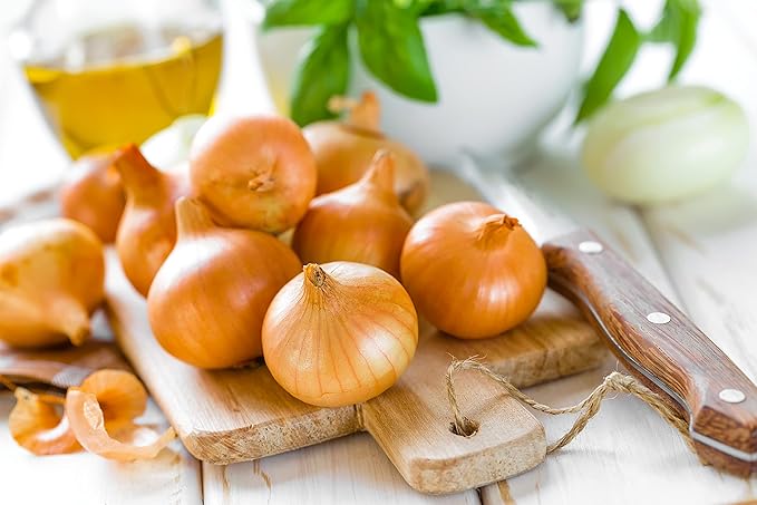 Onion Seeds Variety Pack for Planting – 4 Heirloom Non-GMO Varieties: Evergreen Bunching, Red Creole, White Sweet Spanish & Yellow Sweet Spanish – Garden Vegetable Seeds for Home Growing Indoors & Outdoors.