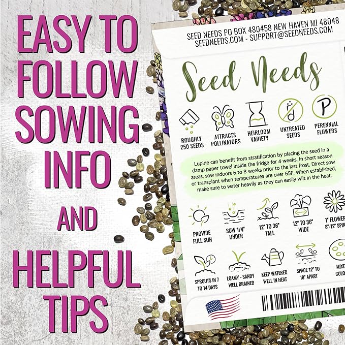 Seed Needs Lupine Seeds for Planting Russells Blend - Heirloom & Open Pollinated Multicolor Flowers to Attract Pollinators to a Butterfly Garden - Red, Purple, Blue, Yellow, White & More (1 Pack)