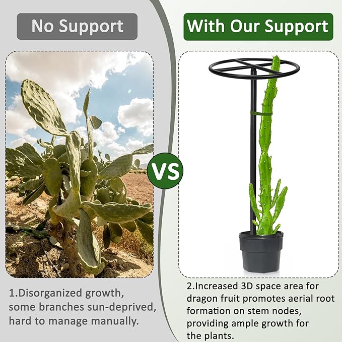 1 Pcs Heavy Duty Dragon Fruit Trellis, 12"x12"x50" Adjustable Metal Dragon Plant Support Stand, Durable Vertical Trellis for Climbing Plants, No-Hammer Assembly for Outdoor Garden (Round)