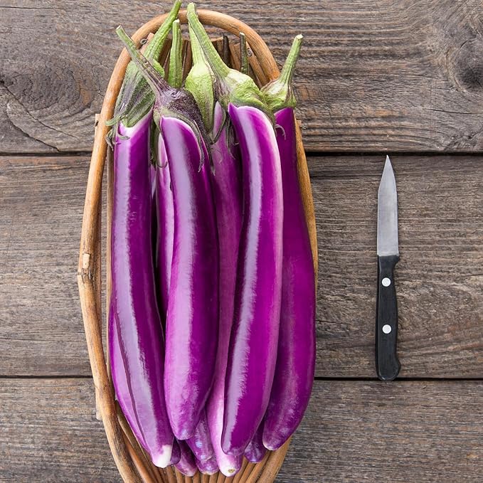 100 Organic PINGTUNG Long Purple Eggplant Seeds