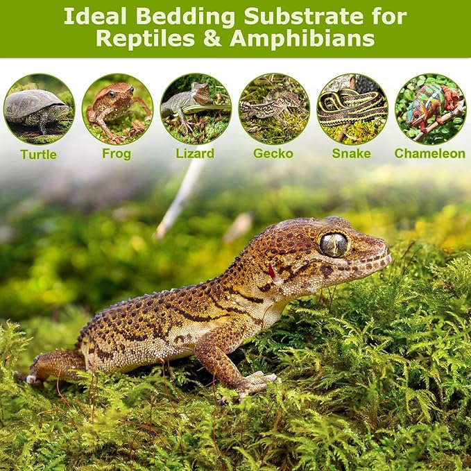 Legigo 4.4LBS Sphagnum Moss for Plants, 80QT Natural Orchid Moss Potting Mix Dired, Green Forest Plant Moss for Orchid Repotting Carnivorous Succulents Indoor Potted Plants Gardening and Reptiles