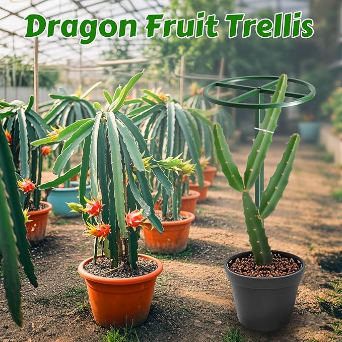62" Round Metal Dragon Fruit Trellis，Adjustable Dragon Fruit Plant Trellis for Vertical Gardening and Climbing Plants Trees Cactus Garden Outdoor Indoor Potted Support Green