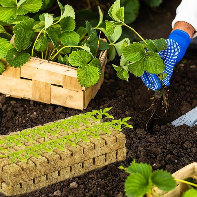 100pcs Plant Propagation Soil Blocks Oasis Cubes for Seedling Start Soilless Culture